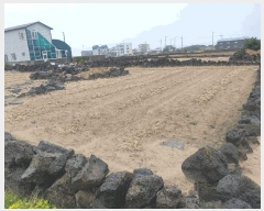  2025Ÿ��1264  �������