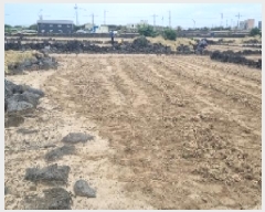  2025Ÿ��1264  �������