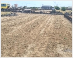  2025Ÿ��1264  �������