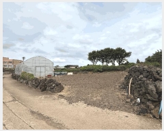  2025Ÿ��1274  �����