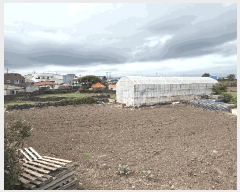  2025Ÿ��1274  �����