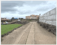  2025Ÿ��1274  �����