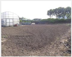  2025Ÿ��1274  �����