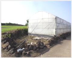  2025Ÿ��1274  �����