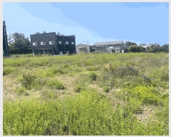  2025Ÿ��1282 ���� ���ֽ� �ֿ��� �ֿ��� 987-1      ����(��1)���