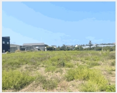  2025Ÿ��1282 ���� ���ֽ� �ֿ��� �ֿ��� 987-1      ����(��1)���