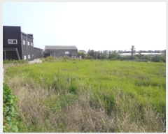  2025Ÿ��1282 ���� ���ֽ� �ֿ��� �ֿ��� 987-1      ����(��1)���