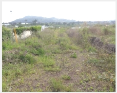  2025Ÿ��1282 ���� ���ֽ� �ֿ��� �ֿ��� 987-1      ����(��1)���