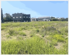  2025Ÿ��1282 ���� ���ֽ� �ֿ��� �ֿ��� 987-1      ����(��1)���