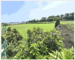  2025Ÿ��1301 ���� ���ֽ� ������ ��ȭ�� 2085      ����(��1)���