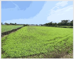  2025Ÿ��1301 ���� ���ֽ� ������ ��ȭ�� 2085      ����(��1)���