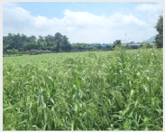  2025Ÿ��1301 ���� ���ֽ� ������ ��ȭ�� 2085      ����(��1)���