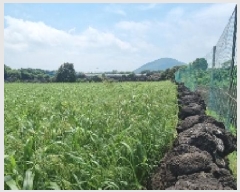  2025Ÿ��1301 ���� ���ֽ� ������ ��ȭ�� 2085      ����(��1)���