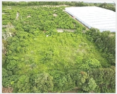  2025Ÿ��1316 ���� �������� ������ �Ϸʸ� 121-3      ����(������)���