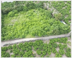  2025Ÿ��1316 ���� �������� ������ �Ϸʸ� 121-3      ����(������)���