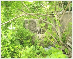  2025Ÿ��1316 ���� �������� ������ �Ϸʸ� 121-3      ����(������)���