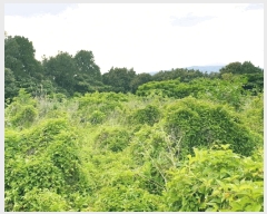  2025Ÿ��1316 ���� �������� ������ �Ϸʸ� 121-3      ����(������)���