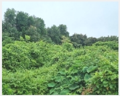  2025Ÿ��1316 ���� �������� ������ �Ϸʸ� 121-3      ����(������)���