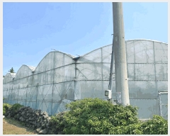  2025Ÿ��1325 ���� �������� �ȴ��� ������ 100-1      ����(������)���