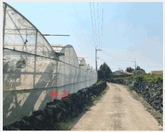  2025Ÿ��1325 ���� �������� �ȴ��� ������ 100-1      ����(������)���