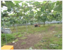  2025Ÿ��1325 ���� �������� �ȴ��� ������ 100-1      ����(������)���