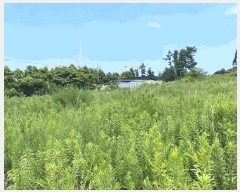  2025Ÿ��1332  �����