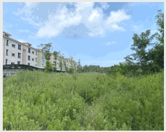  2025Ÿ��1332  �����