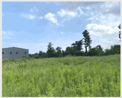  2025Ÿ��1332  �����