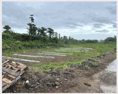  2025Ÿ��1352 ���� ���ֽ� �Ѱ�� ����� 2529-1      ����(��1)���