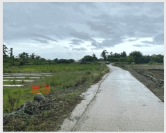  2025Ÿ��1352 ���� ���ֽ� �Ѱ�� ����� 2529-1      ����(��1)���