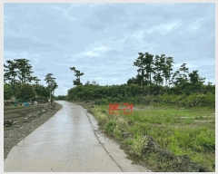  2025Ÿ��1352 ���� ���ֽ� �Ѱ�� ����� 2529-1      ����(��1)���