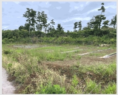  2025Ÿ��1352 ���� ���ֽ� �Ѱ�� ����� 2529-1      ����(��1)���