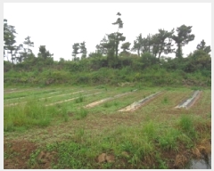  2025Ÿ��1352 ���� ���ֽ� �Ѱ�� ����� 2529-1      ����(��1)���