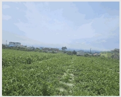  2025Ÿ��1425  �����