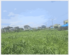  2025Ÿ��1425  �����