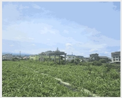  2025Ÿ��1425  �����