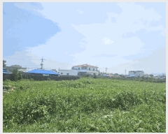  2025Ÿ��1425  �����