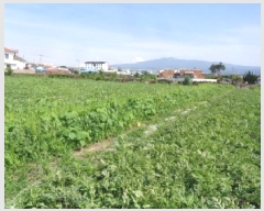  2025Ÿ��1425  �����