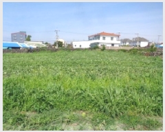  2025Ÿ��1425  �����