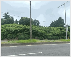  2025Ÿ��1434  �����