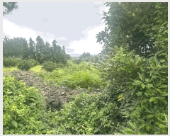  2025Ÿ��1434  �����