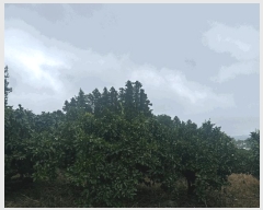  2025Ÿ��1434  �����