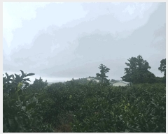  2025Ÿ��1434  �����