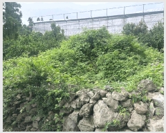  2025Ÿ��1434  �����