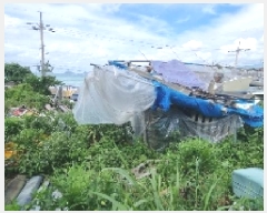  2025Ÿ��1472  �����