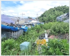  2025Ÿ��1472  �����