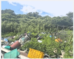  2025Ÿ��1472  �����