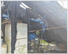  2025Ÿ��1472  �����