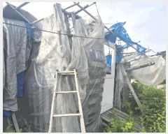  2025Ÿ��1472  �����