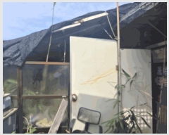  2025Ÿ��1472  �����